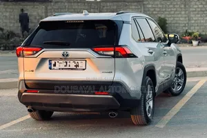 Toyota RAV4 2022 Gris