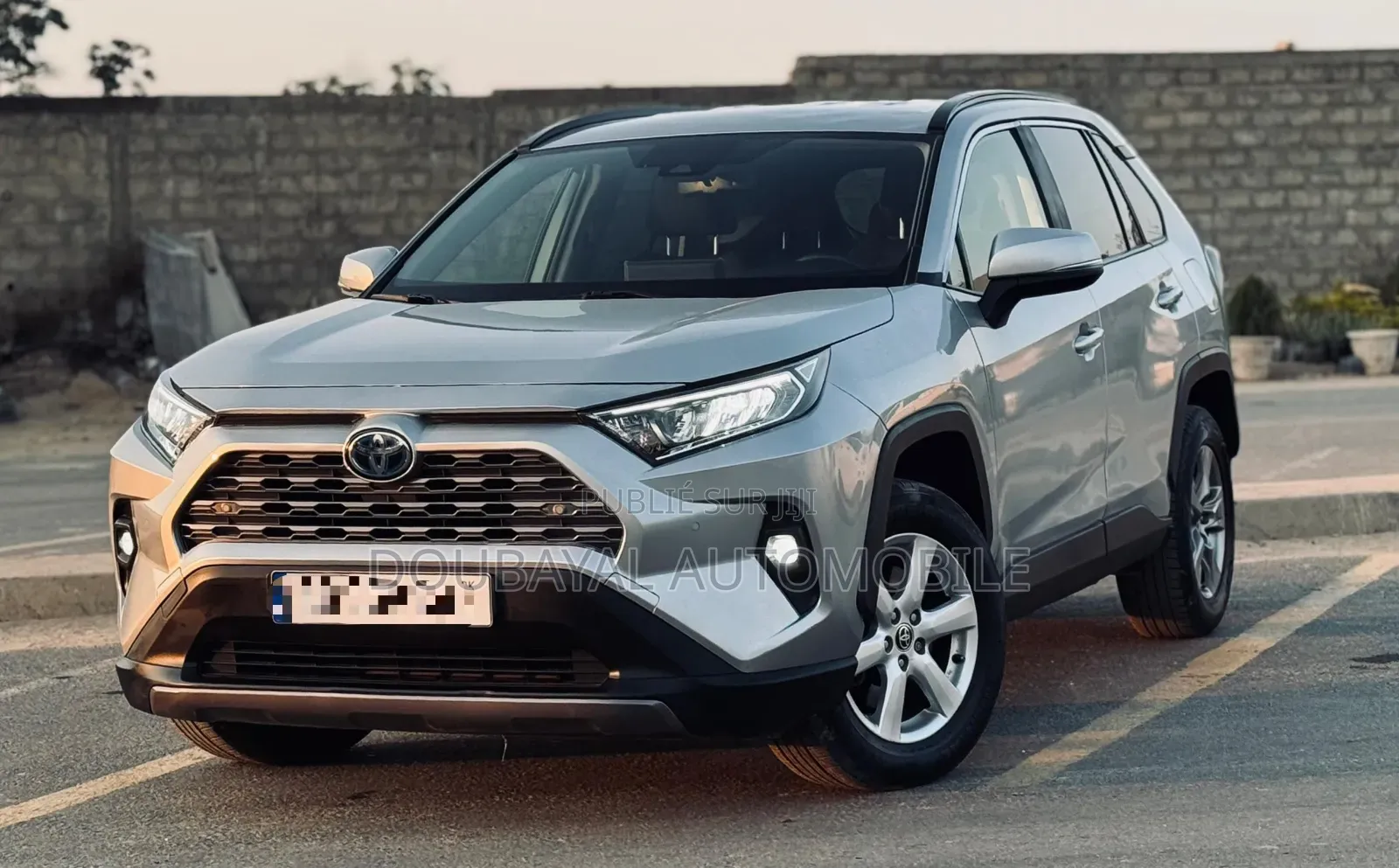 Toyota RAV4 2022 Gris