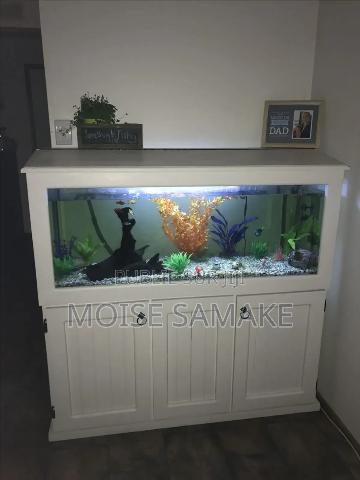 Aquarium Service