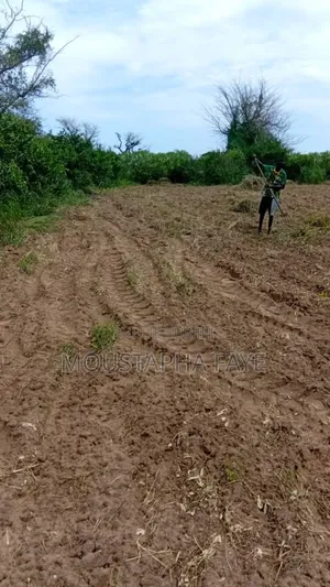 Verger~~Terrain Agricole