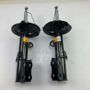 Amortisseurs Et Bras Ford