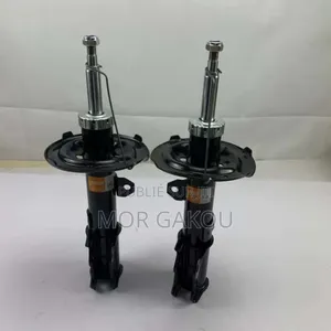 Amortisseurs Et Bras Ford