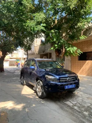 Toyota RAV4 2009 Blue