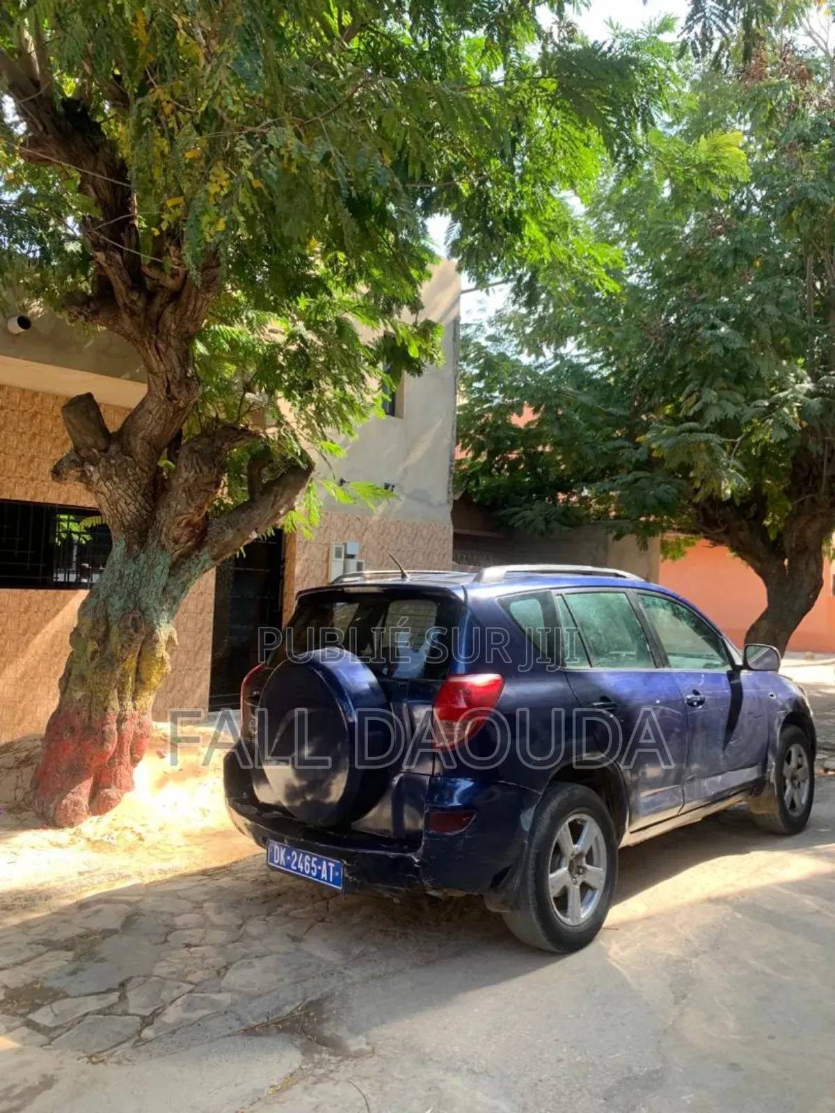Toyota RAV4 2009 Blue