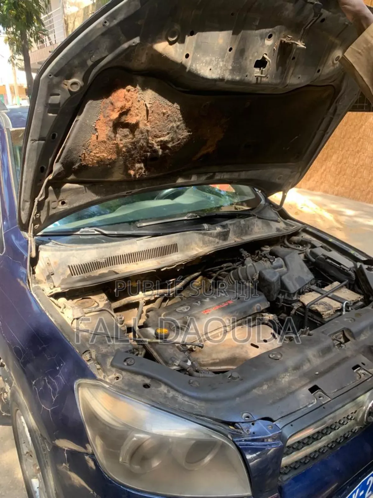 Toyota RAV4 2009 Blue