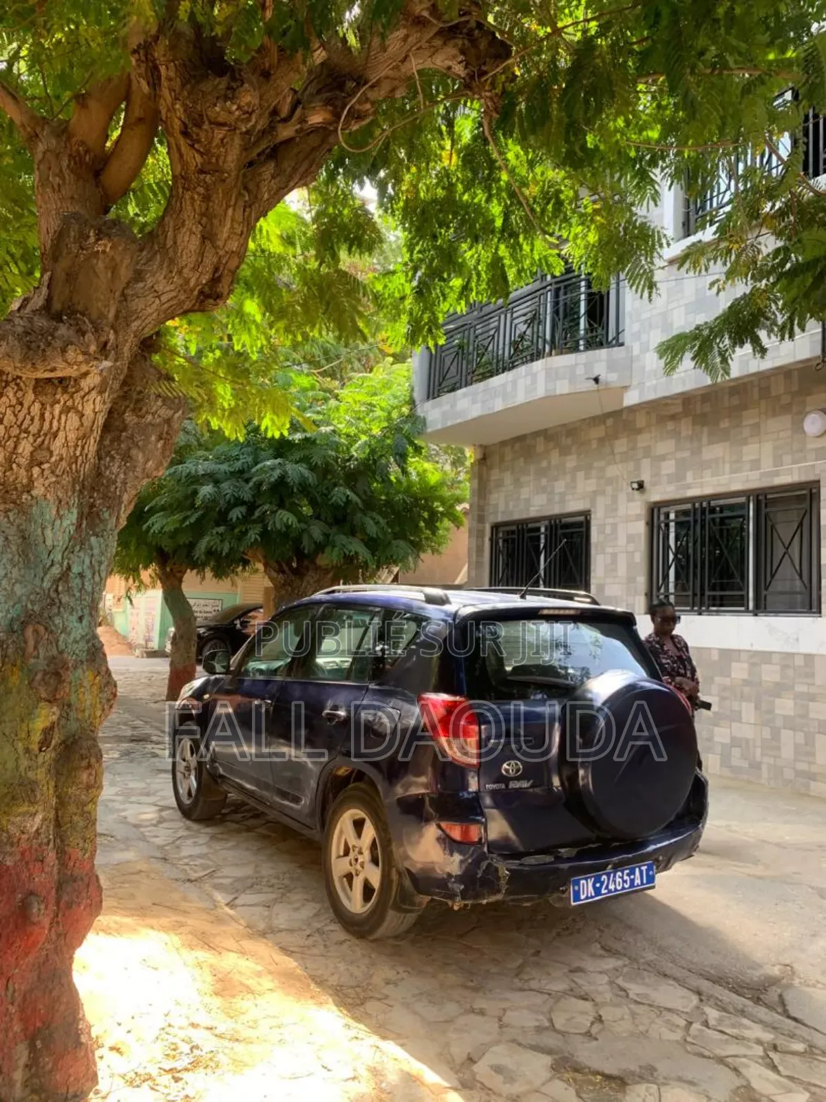 Toyota RAV4 2009 Blue