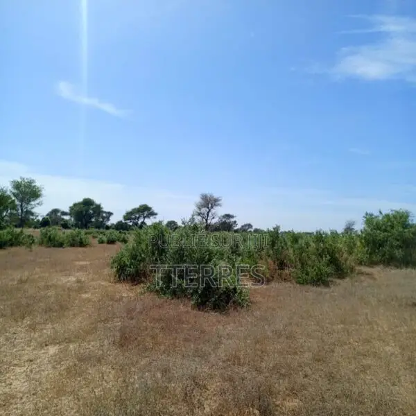 Terrain Agricole De 6,90 Hectares Vers Tassette – Thiès