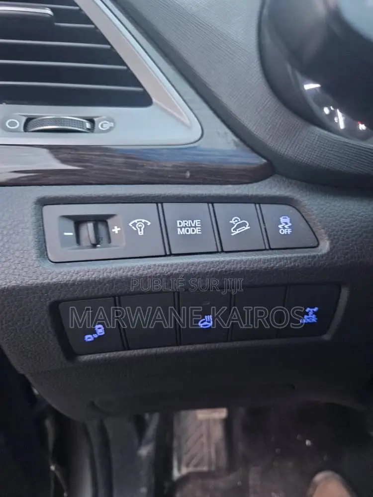 Hyundai Santa Fe 2017