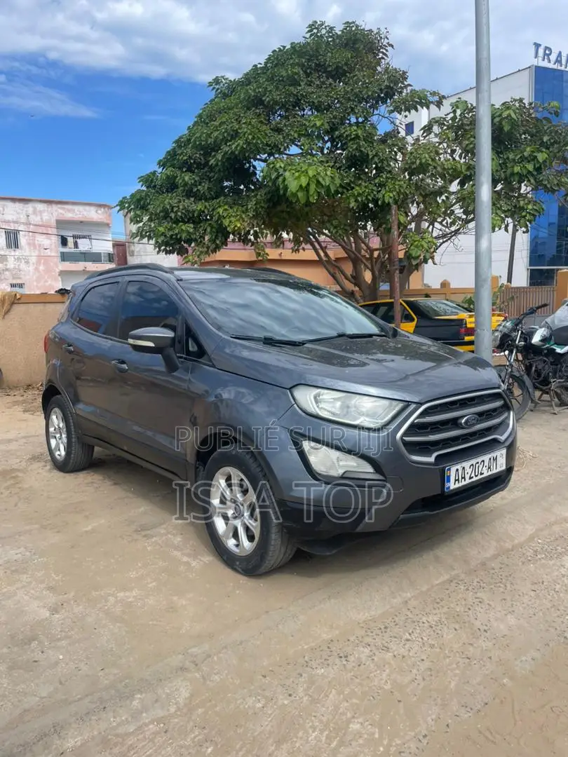 Ford Ecosport 2019 Gris