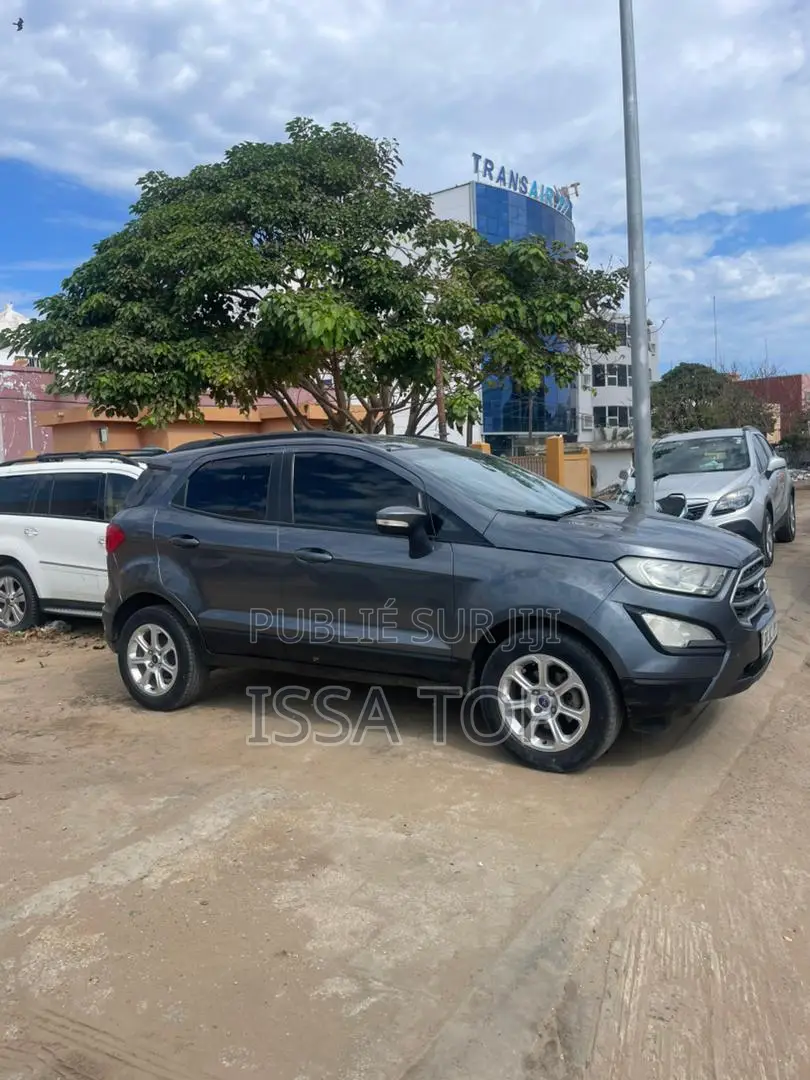 Ford Ecosport 2019 Gris