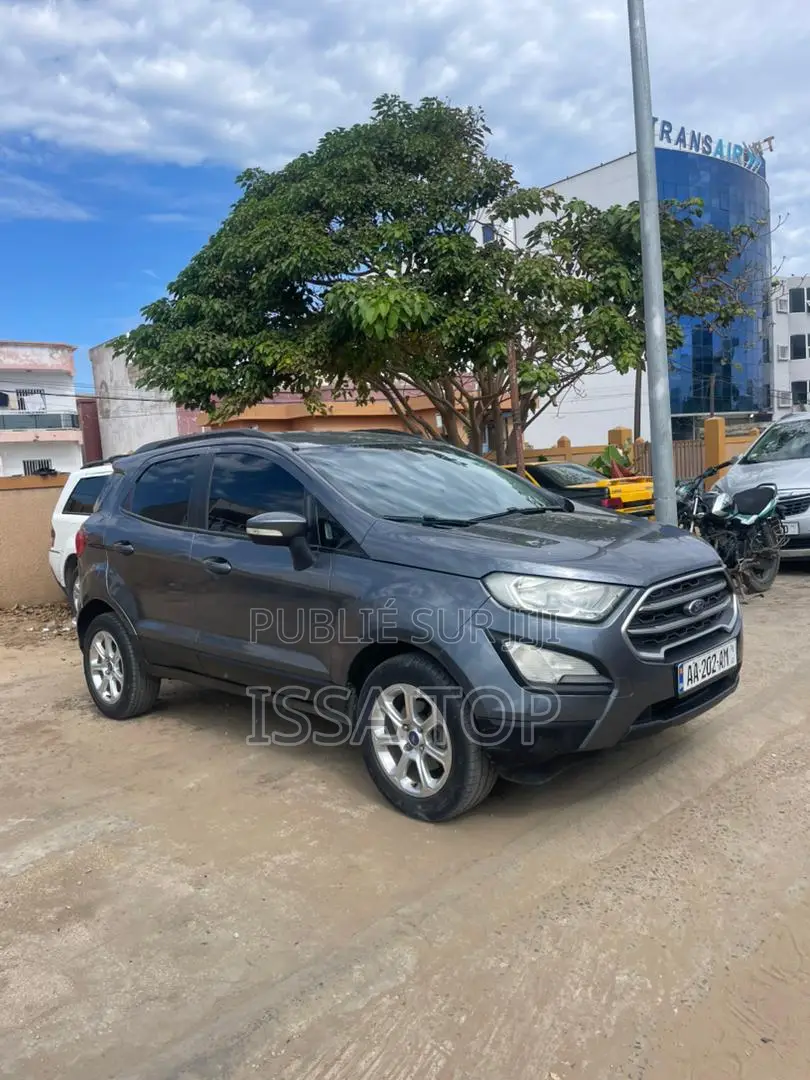 Ford Ecosport 2019 Gris