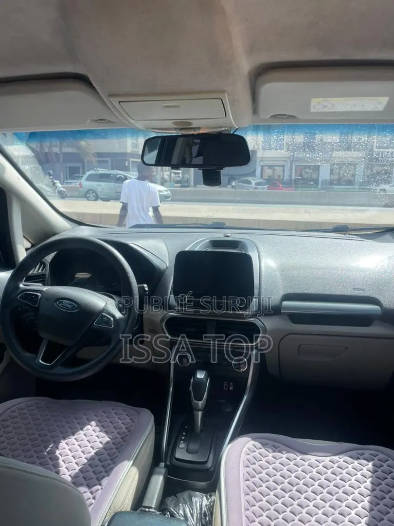 Ford Ecosport 2019 Gris