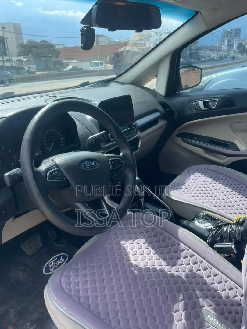 Ford Ecosport 2019 Gris