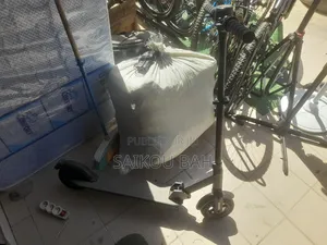 Trottinette Électronique