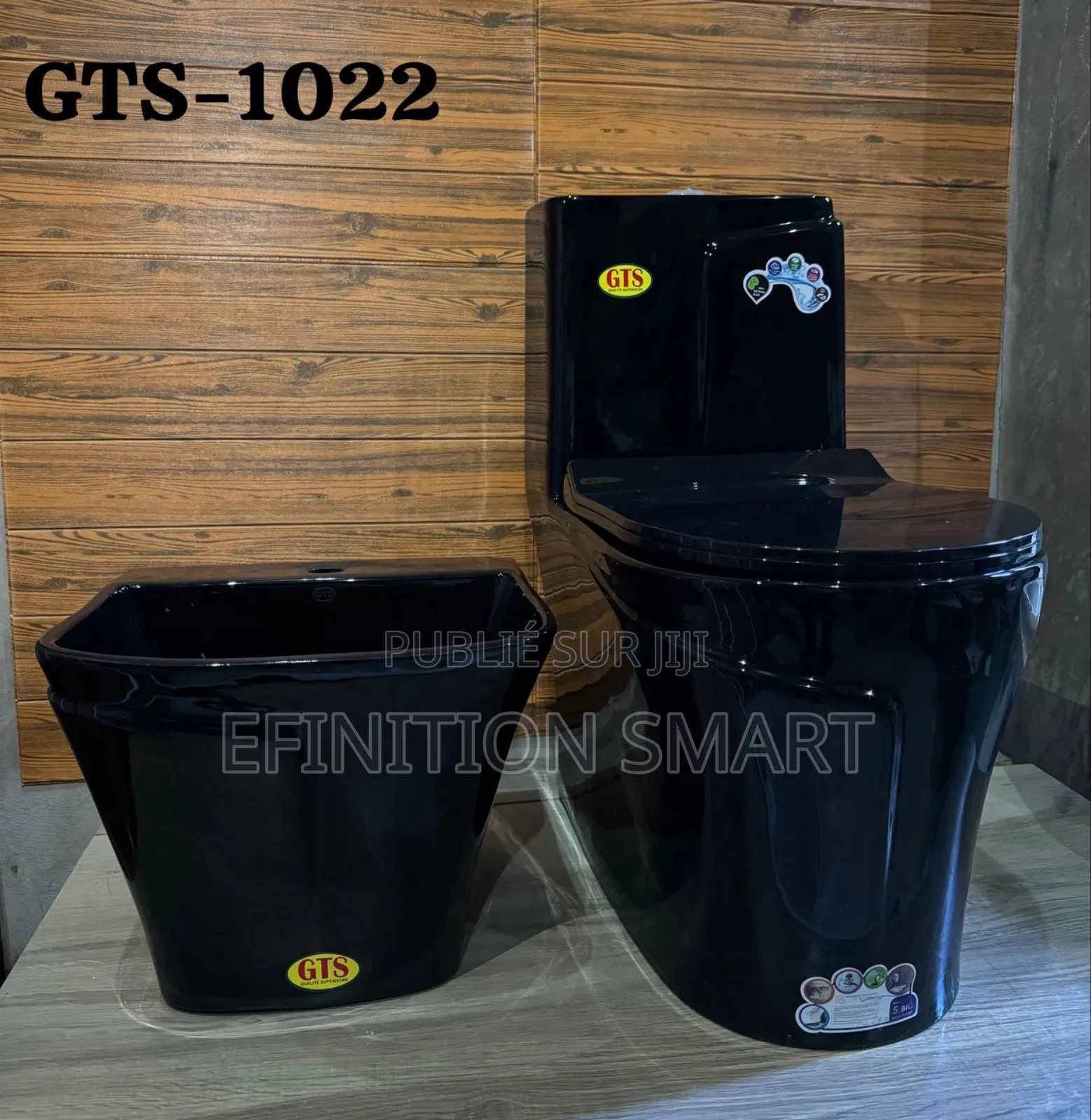 Ensemble Sanitaire GTS 1022