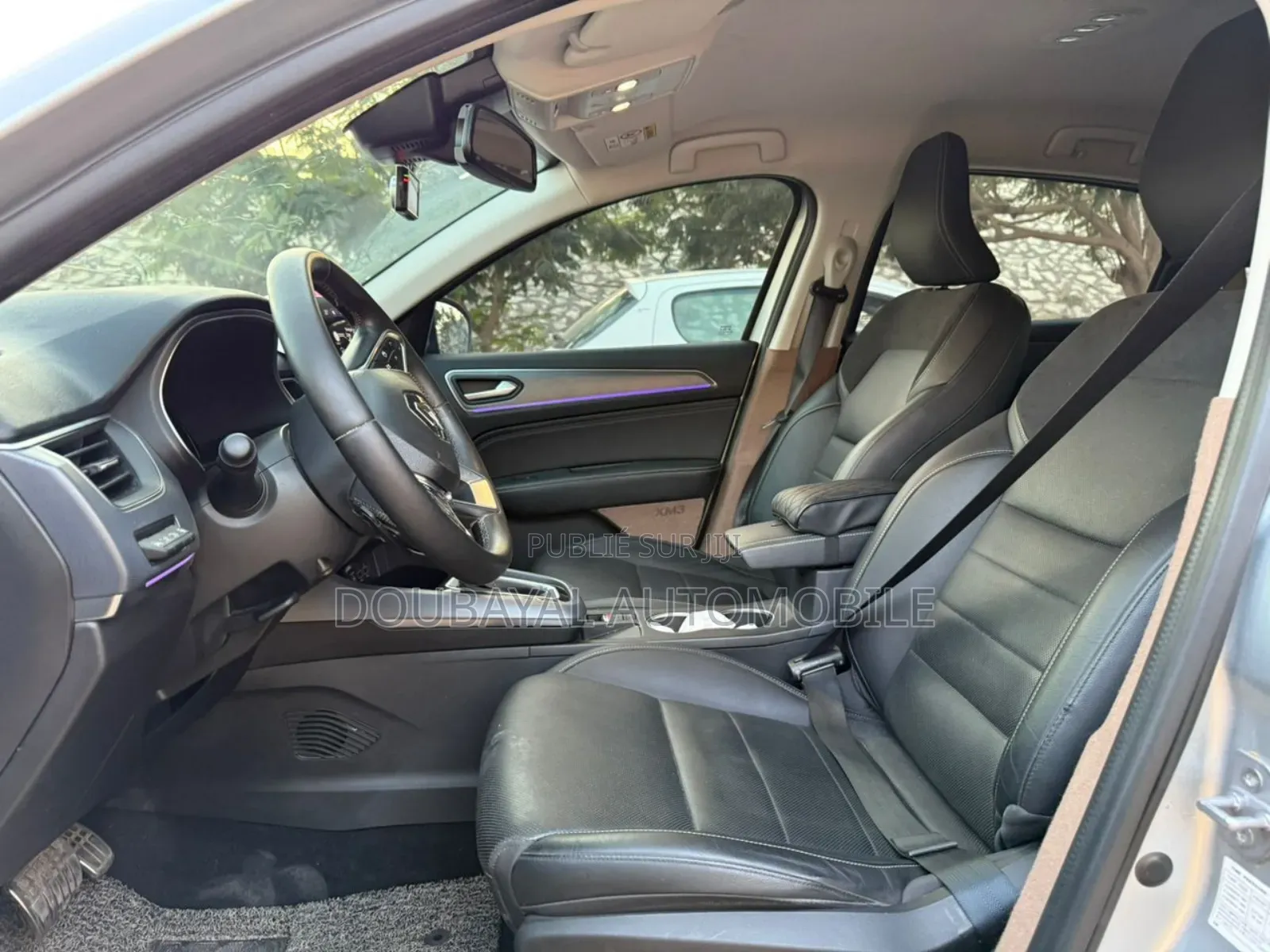 Renault Argos 2021 Gris