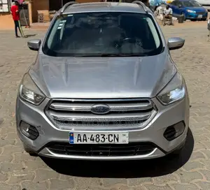 Ford Escape SEL AWD 2020 Gris