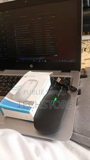 Souris Sans Fil Rechargeable