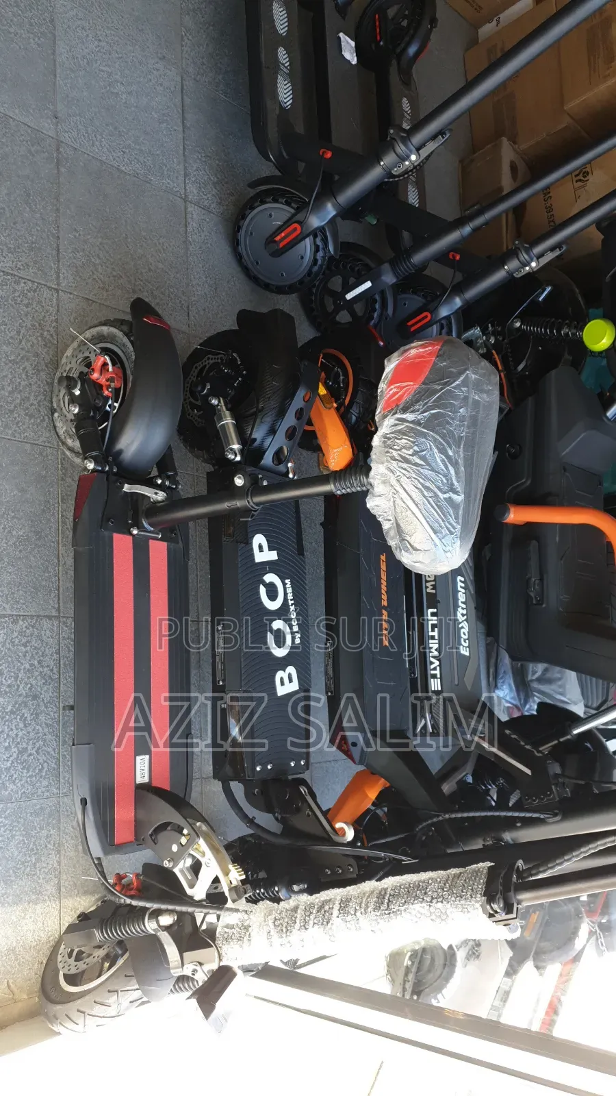 Trottinette Electrique Max Gt