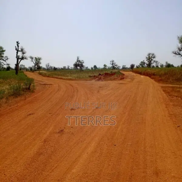 Terrain Agricole De 2,07 Hectares Vers Khombole – Thiès