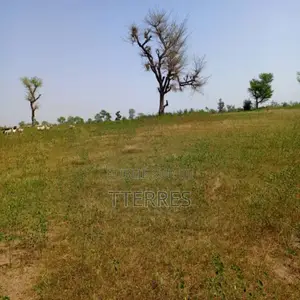 Terrain Agricole De 2,07 Hectares Vers Khombole – Thiès