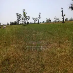 Terrain Agricole De 2,07 Hectares Vers Khombole – Thiès