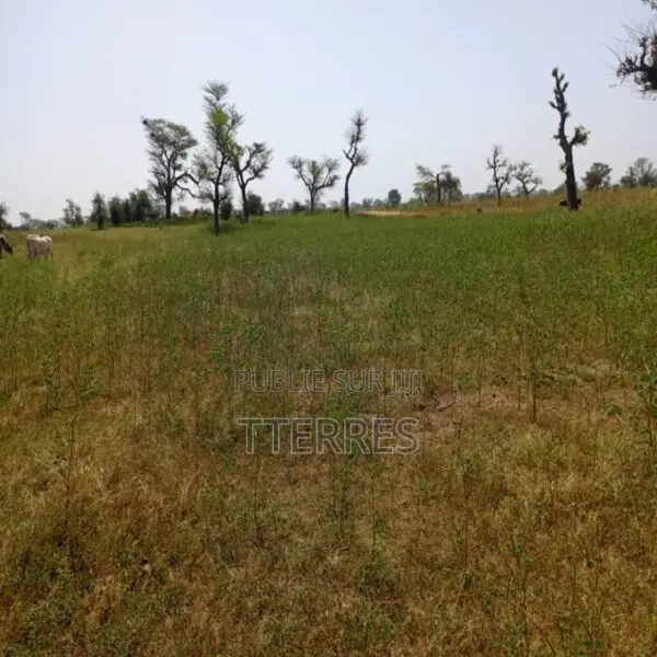 Terrain Agricole De 2,07 Hectares Vers Khombole – Thiès