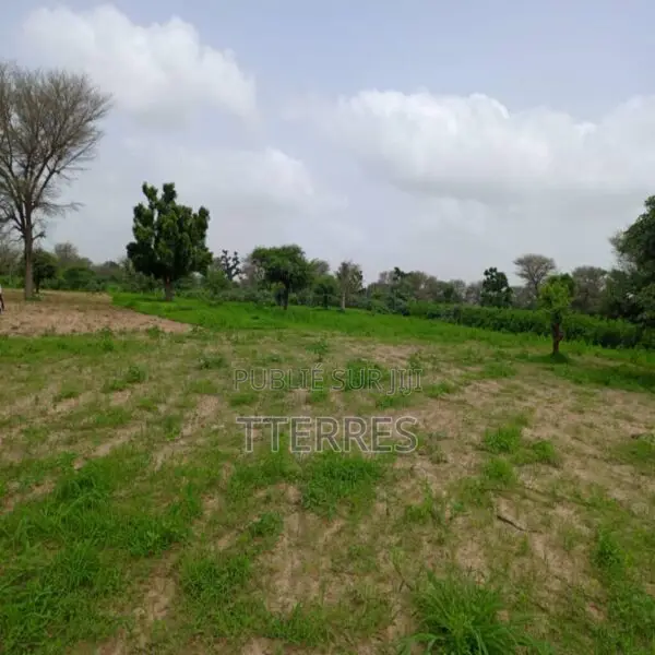 Terrain Agricole De 1,74 Hectare Vers Tassette – Thies