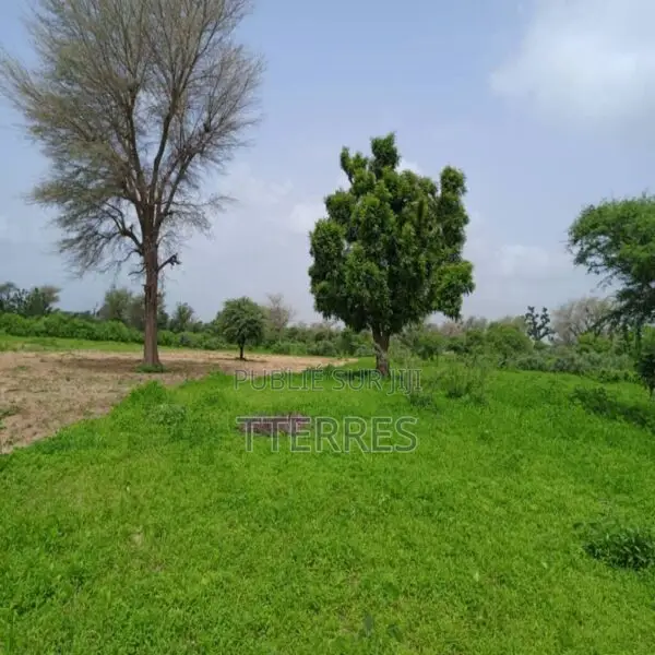 Terrain Agricole De 1,74 Hectare Vers Tassette – Thies