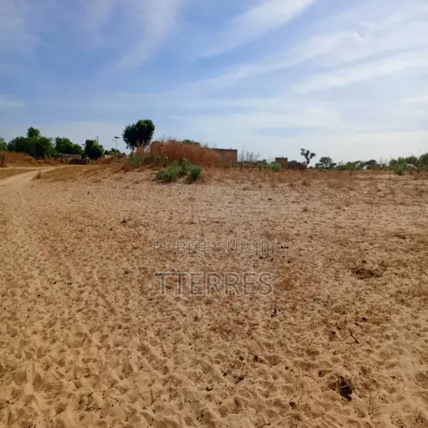 Terrain Agricole De 1,10 Hectare Vers Tassette – Thiès