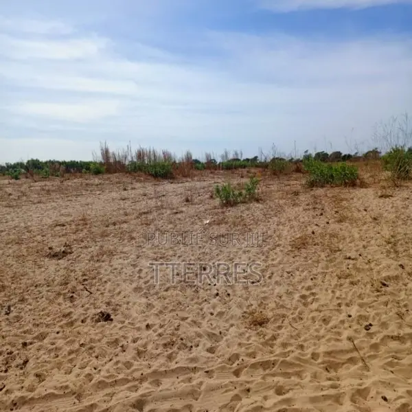 Terrain Agricole De 1,10 Hectare Vers Tassette – Thiès