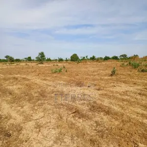 Terrain Agricole De 1,10 Hectare Vers Tassette – Thiès