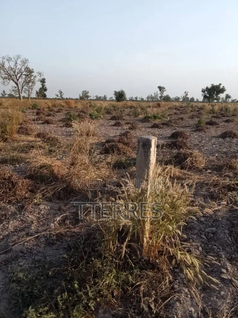 Terrain Agricole De 8 Hectares Vers Pass Koto – Koumpentoum