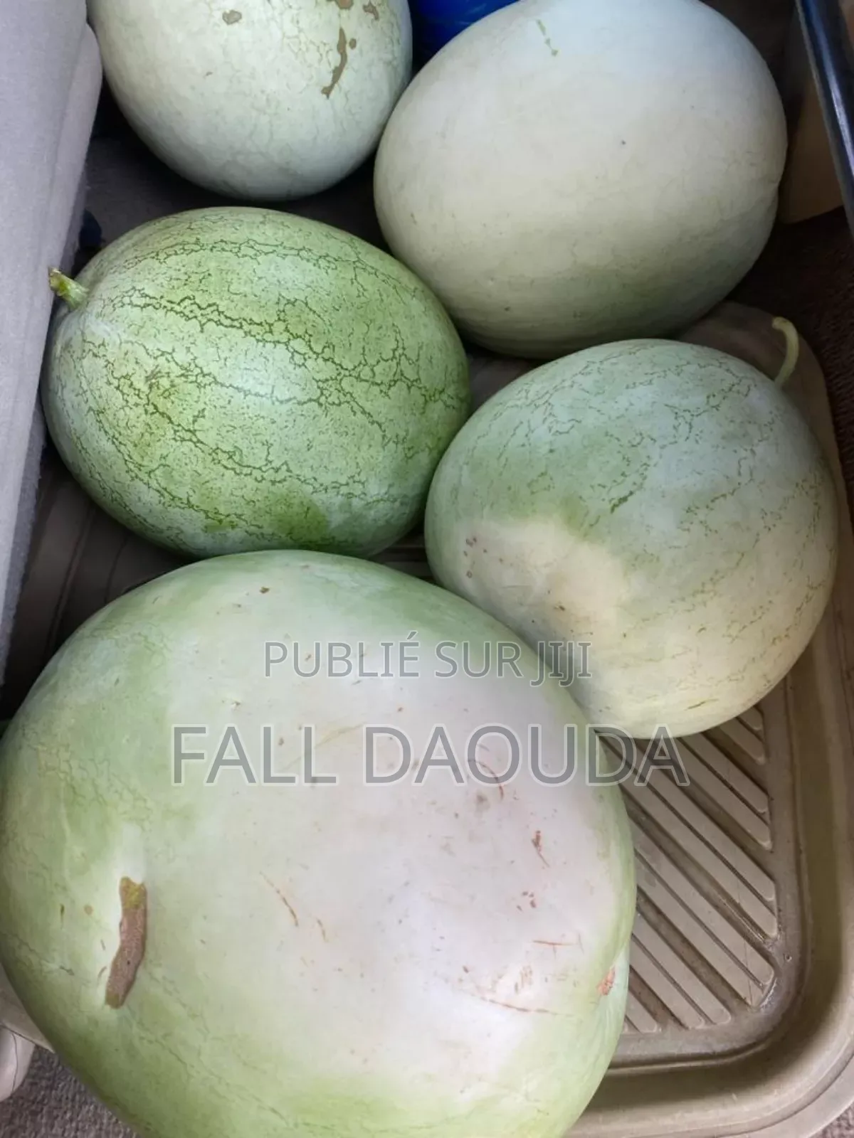 Champs À Vendre Situé Dans La Région De Thiès