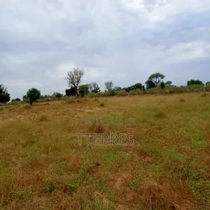 Terrain Agricole De 9 012 M2 Vers Tassette – Thiès