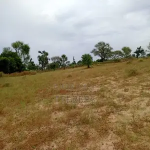 Terrain Agricole De 9 012 M2 Vers Tassette – Thiès