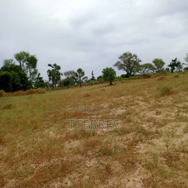 Terrain Agricole De 9 012 M2 Vers Tassette – Thiès