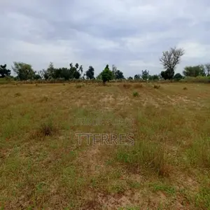 Terrain Agricole De 9 012 M2 Vers Tassette – Thiès