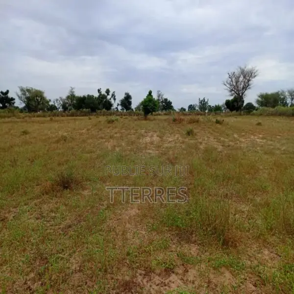 Terrain Agricole De 9 012 M2 Vers Tassette – Thiès