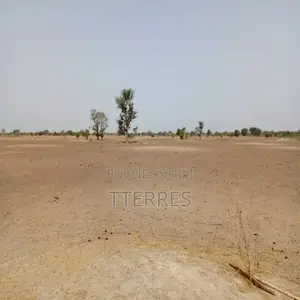 Terrain Agricole De 1,83 Hectare Vers Tassette – Thiès