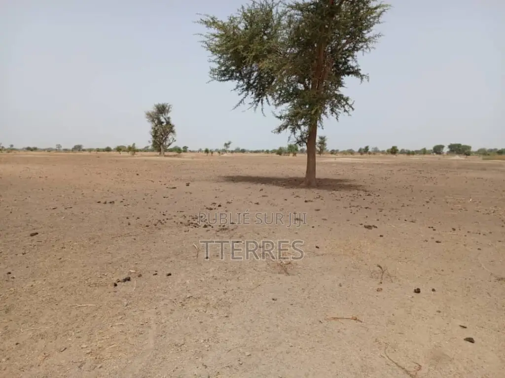 Terrain Agricole De 1,83 Hectare Vers Tassette – Thiès