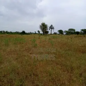 Terrain Agricole De 2,44 Hectares Vers Tassette – Thiès
