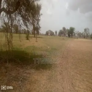 Terrain Agricole De 2,44 Hectares Vers Tassette – Thiès