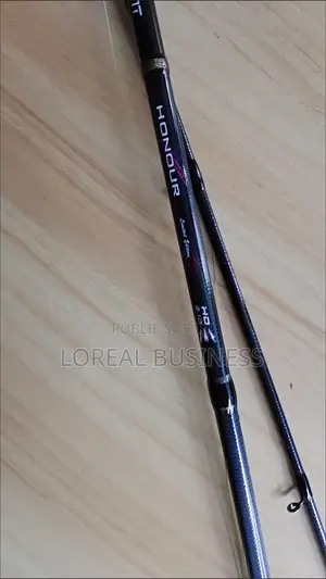 Canne À Pêche 2m40