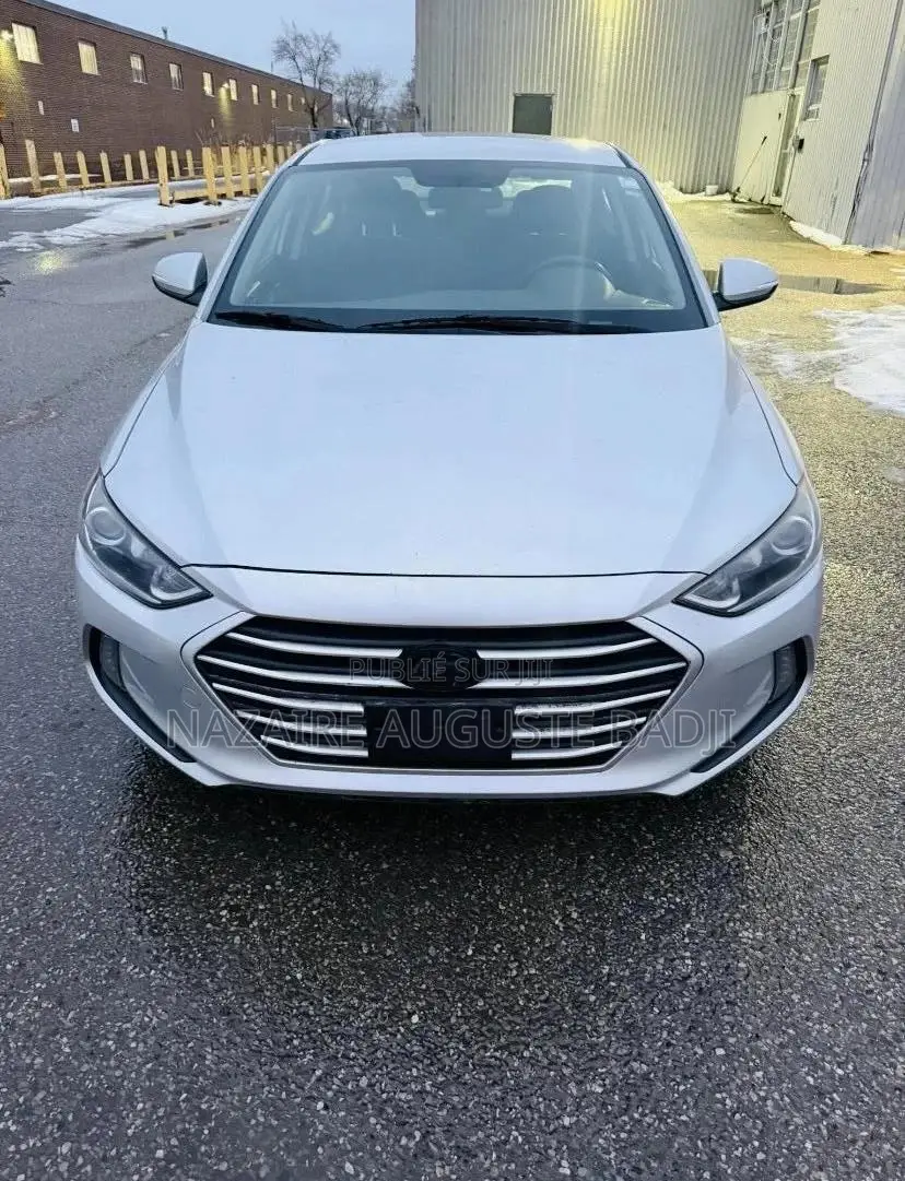 Hyundai Elantra 2019 Gris