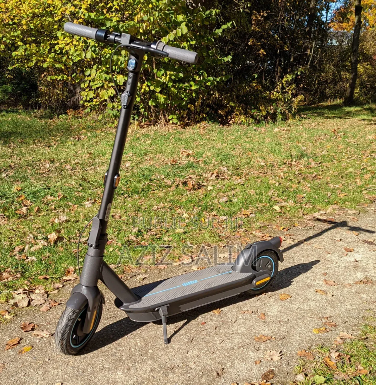 Trottinette Super Max