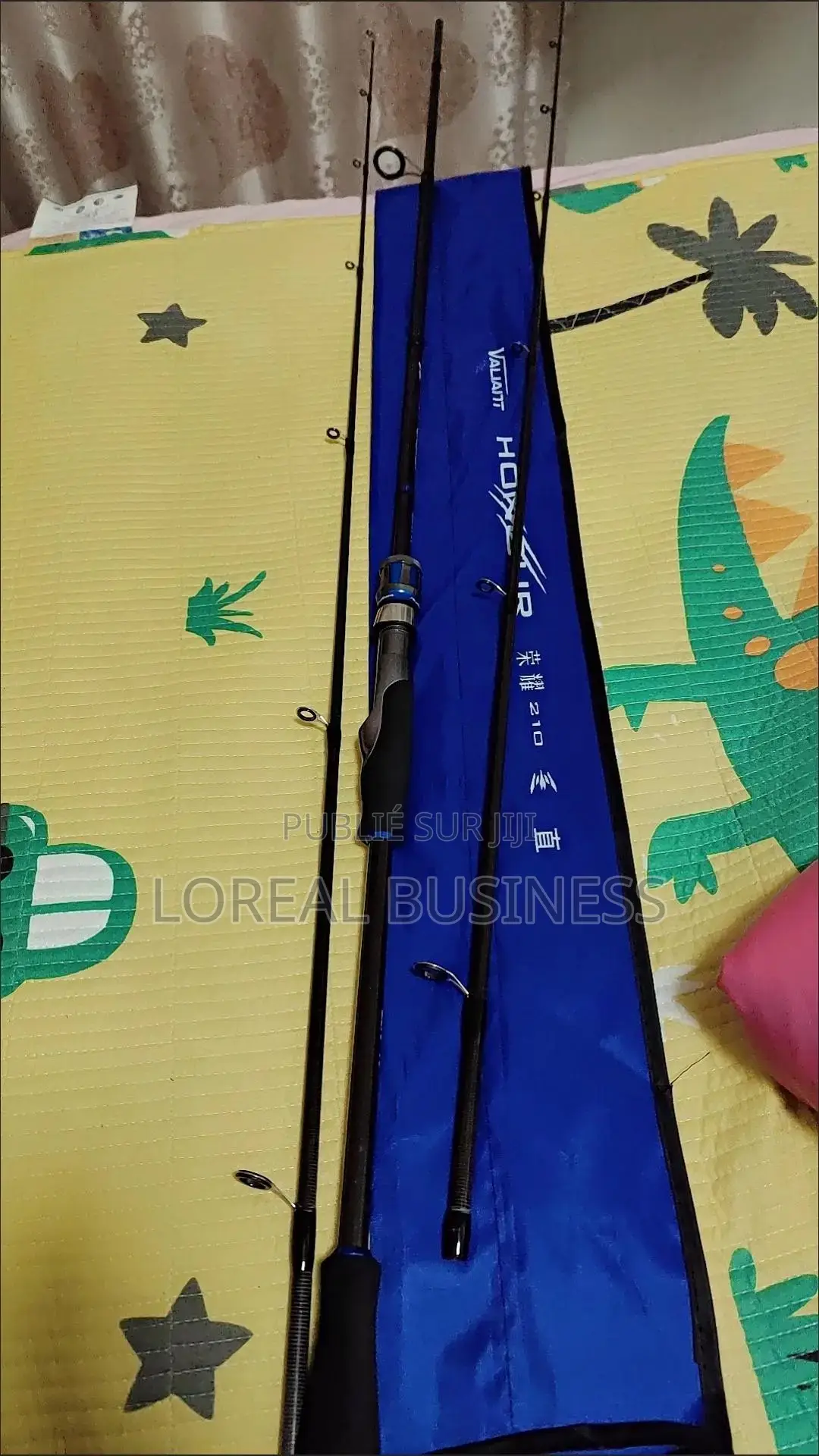 Canne À Pêche 2m40