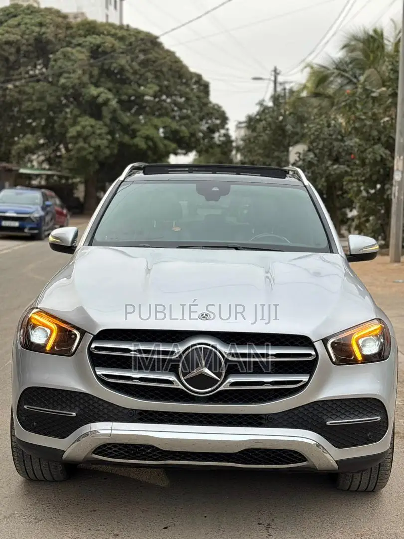 Mercedes-Benz GLE-Class GLE 450 4MATIC 2020 Gris