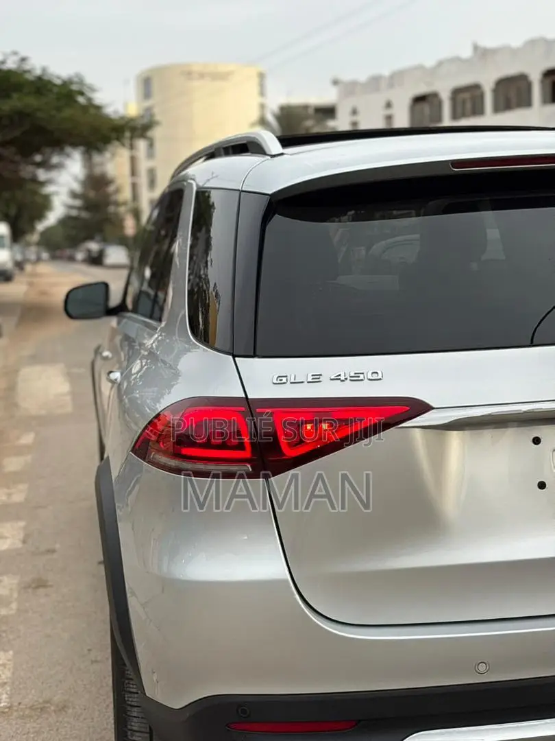 Mercedes-Benz GLE-Class GLE 450 4MATIC 2020 Gris