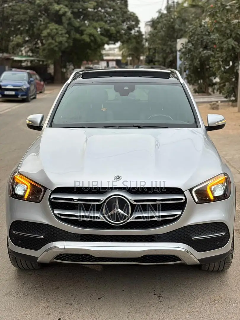 Mercedes-Benz GLE-Class GLE 450 4MATIC 2020 Gris